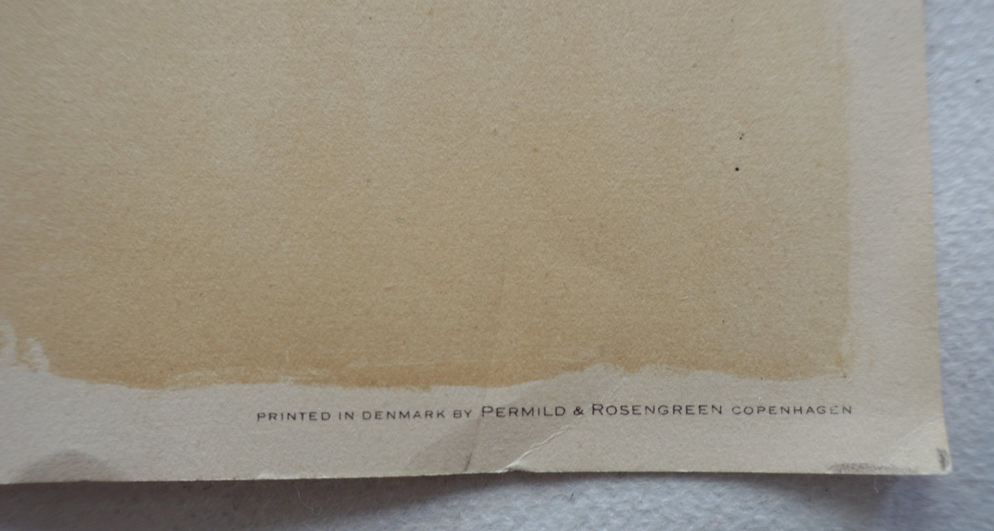 1957 Wiinblad Royal Danish Ballet - Original Vintage Poster