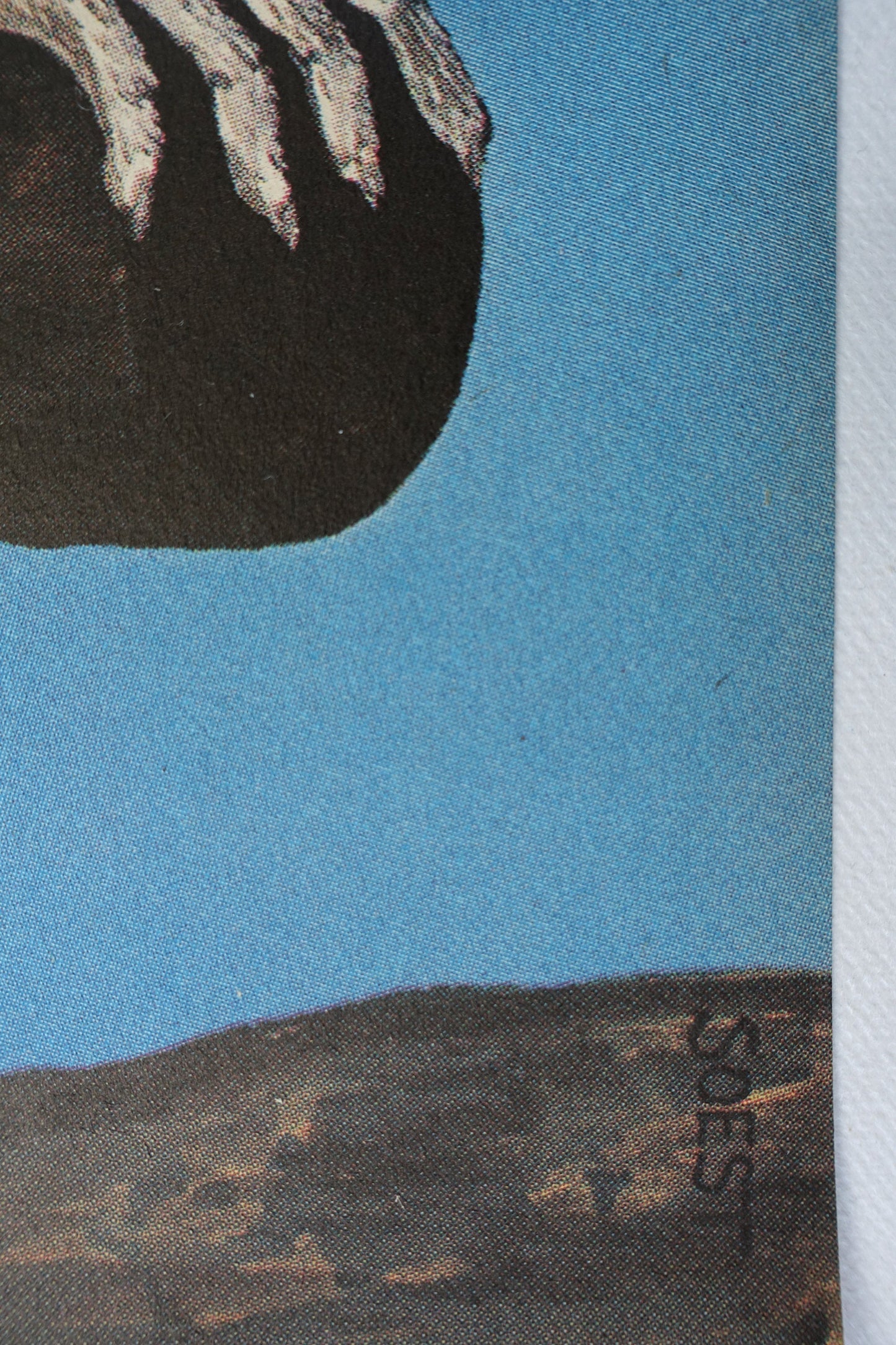 1986 Tierpark Berlin (Lemurs) - Original Vintage Poster