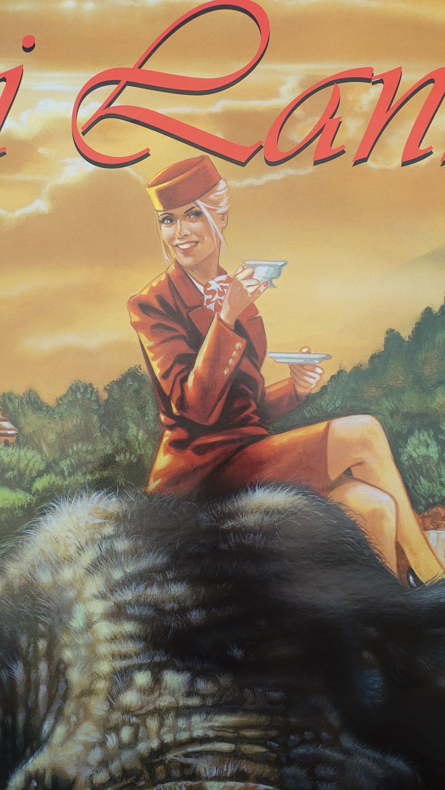 1970 Sri Lanka KLM Martinair Travel Poster - Original Vintage Poster