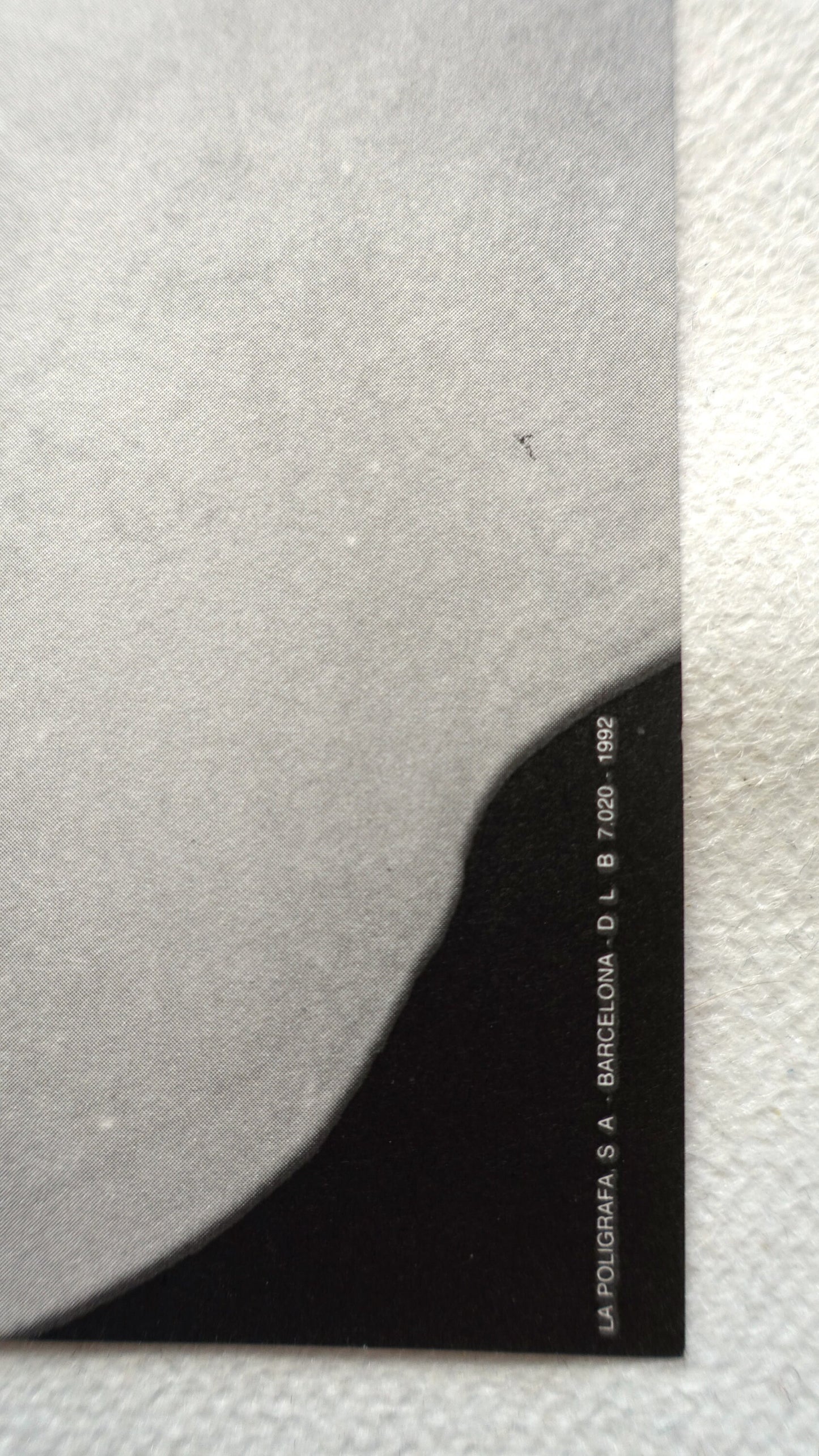 1992 Hannah Collins Spanish Exhibition Poster - Original Vintage Poster