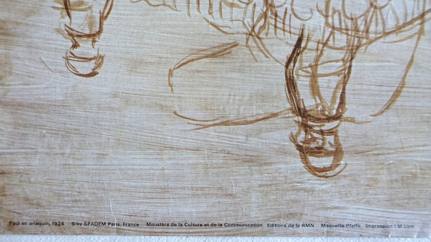 1979 Picasso Exhibition at Grand Palais Paris - Original Vintage Poster