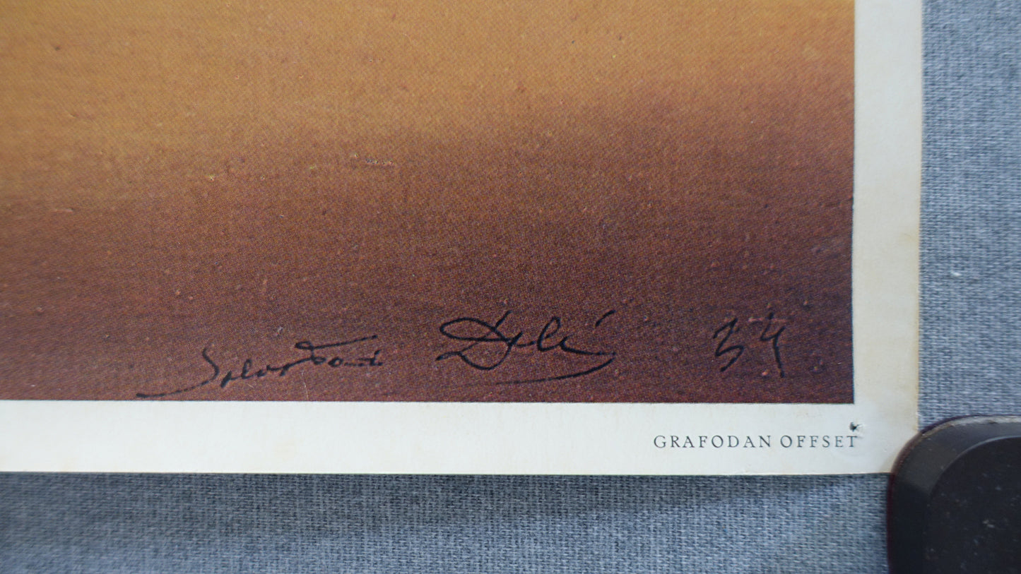 1973 Salvador Dalí - Exhibition on Louisiana Museum, Denmark - Original Vintage Poster