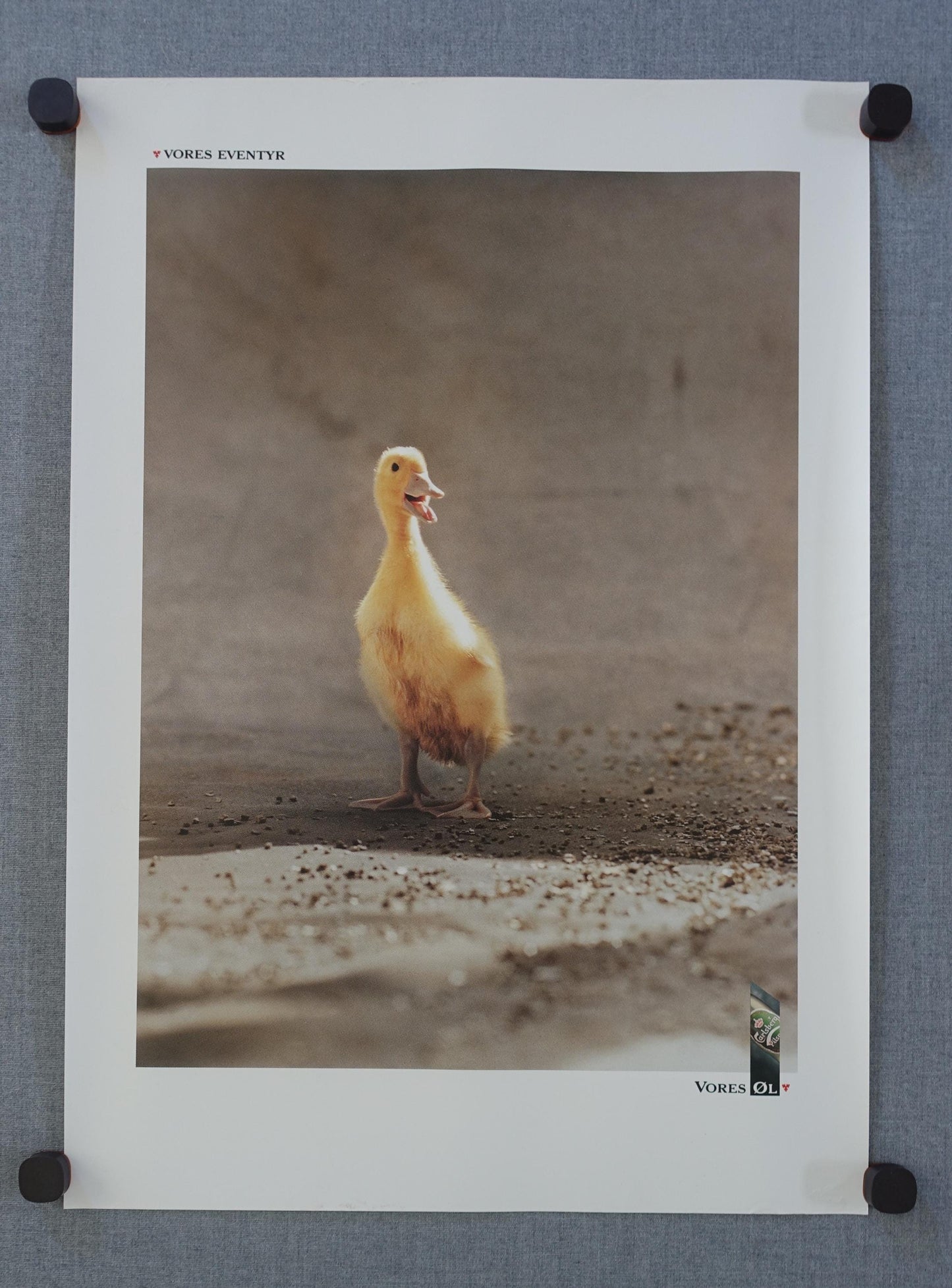 1990s Carlsberg Beer Advertisement (Duckling) - Original Vintage Poster