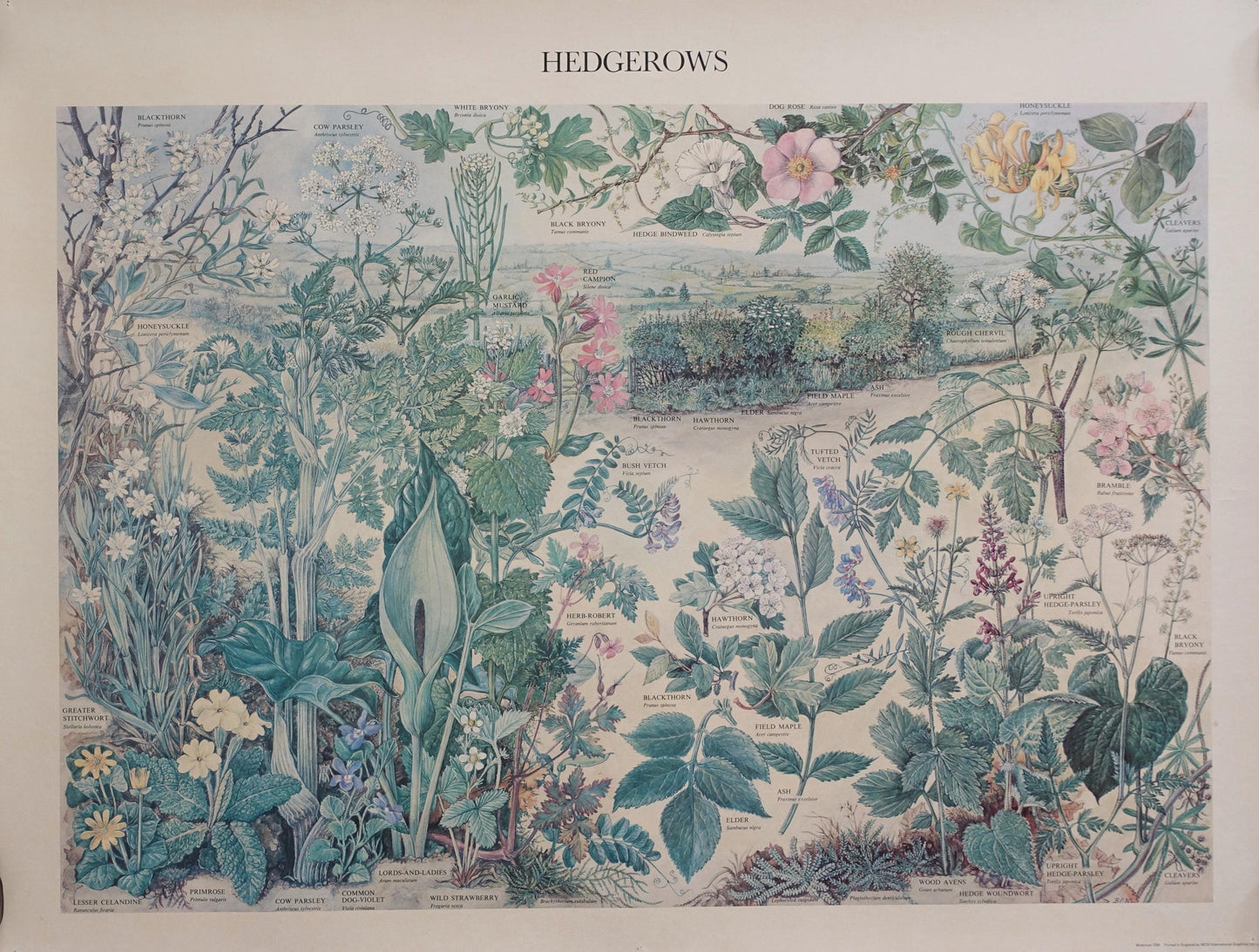 1976 Hedgerow Garden Poster - Original Vintage Poster