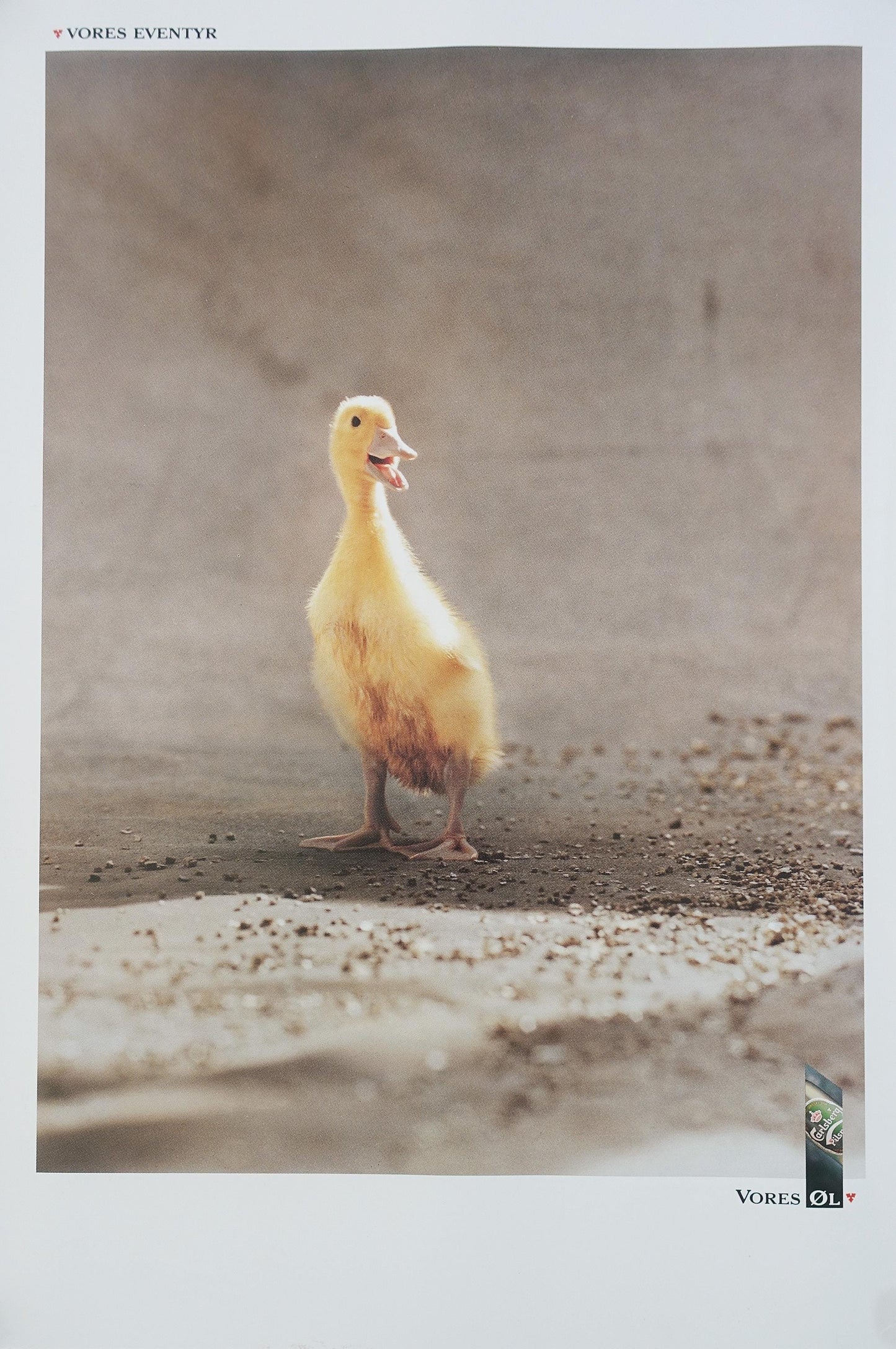 1990s Carlsberg Beer Advertisement (Duckling) - Original Vintage Poster