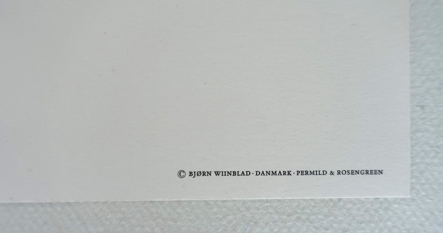 1970s Wiinblad's "The Swineherd" - Original Vintage Poster