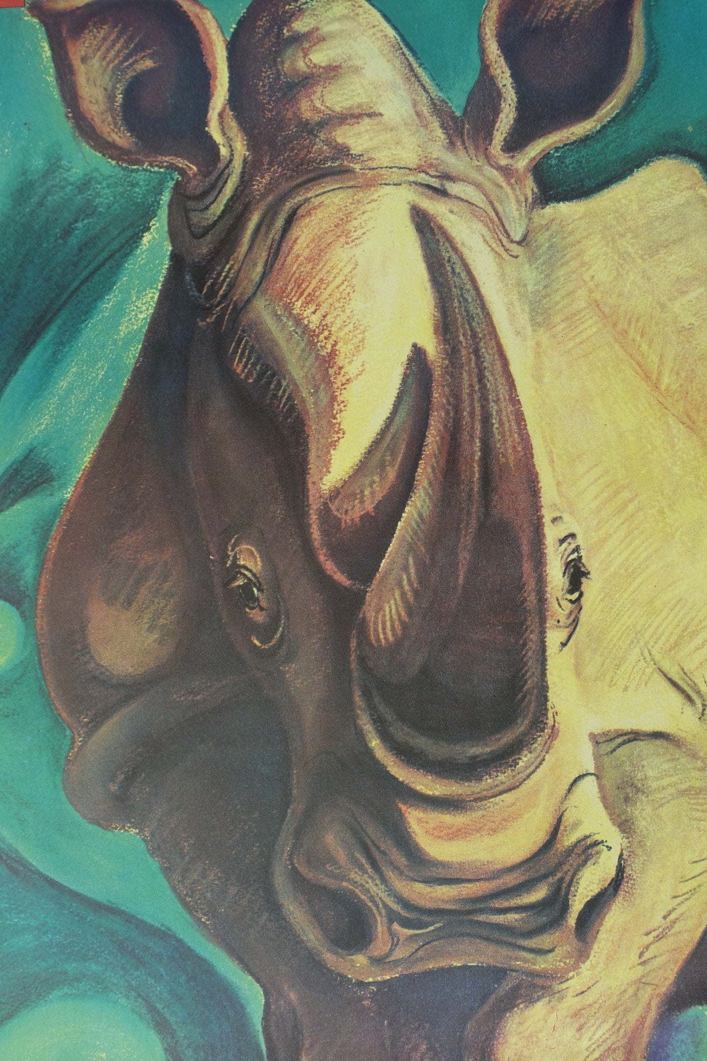 1969 Tierpark Berlin (Rhino) - Original Vintage Poster