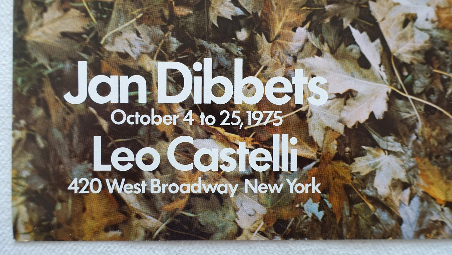 1975 Jan Dibbets at Leo Castelli Art Exhibition Poster - Original Vintage Poster
