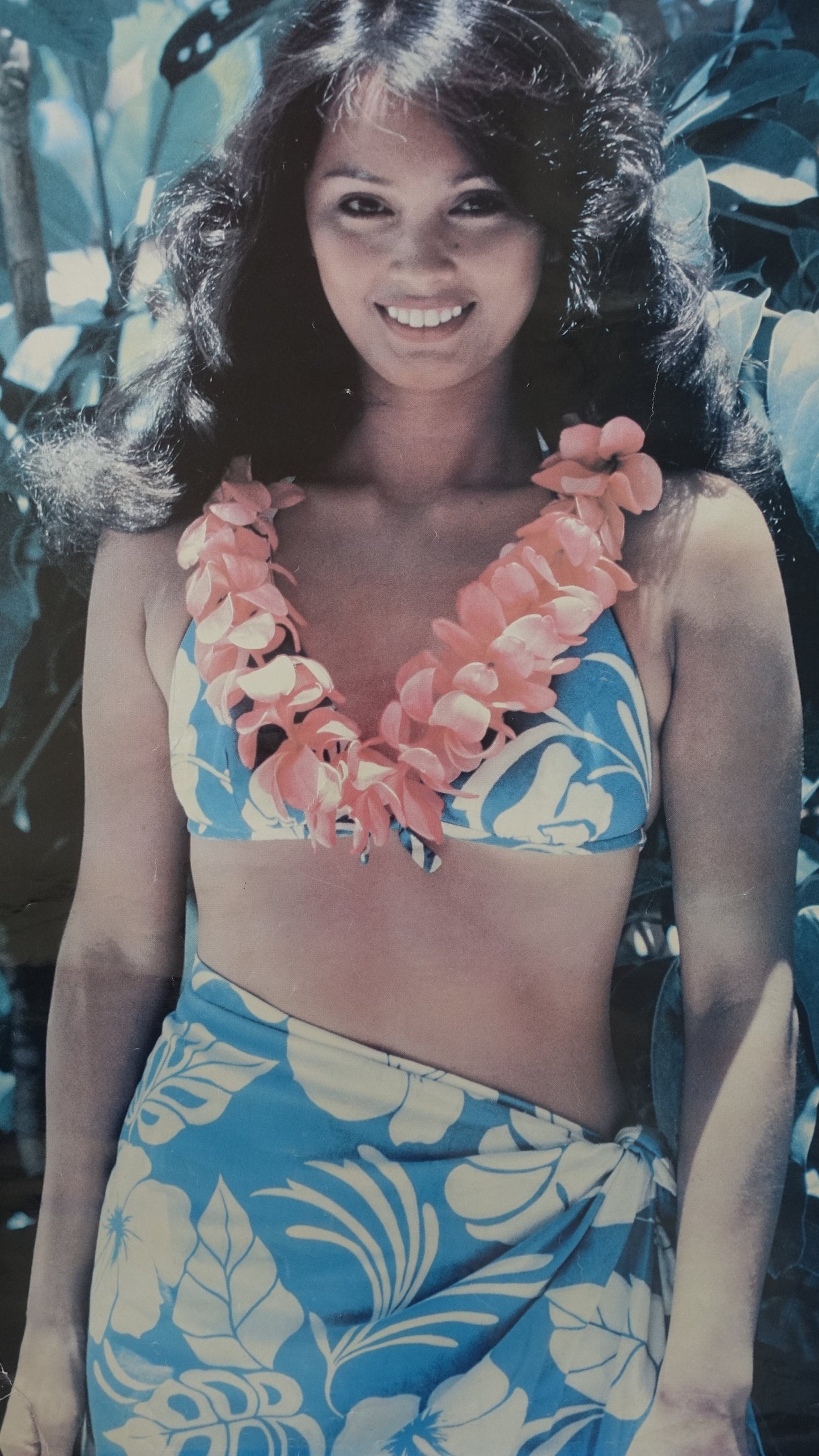 1980s American Airlines Hawaii - Original Vintage Poster